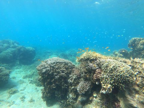 Hillary's Reef Philippines