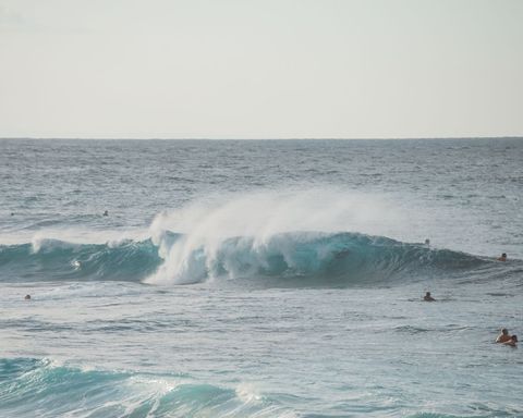 Shark's Cove United States