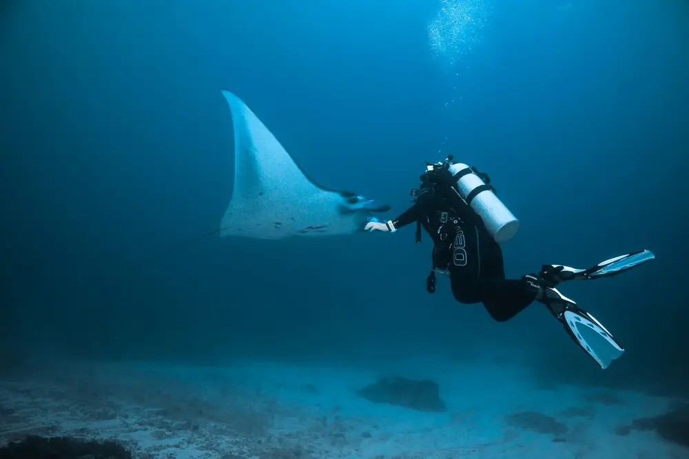 Manta Point