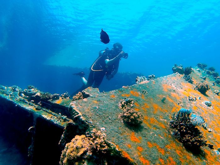 Diver explores vibrant marine life around a sunken shipwreck, surrounded by coral and fish.