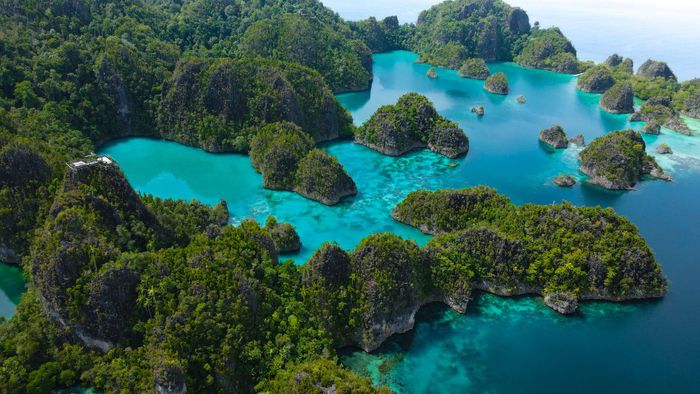Breathtaking aerial view of the lush green Raja Ampat Islands surrounded by turquoise waters.