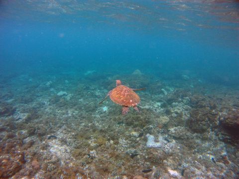 Mantigue Island Philippines