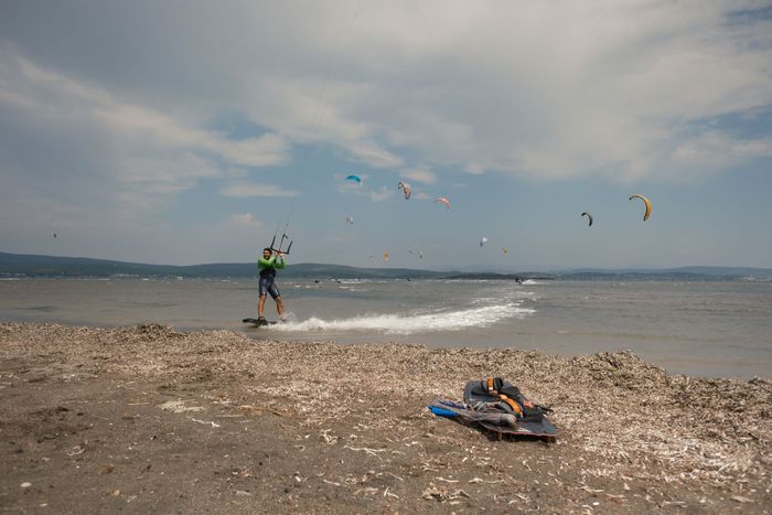 A kitesurfer rides the waves on a breezy beach day, with multiple kites in the sky.