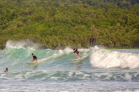 Surfe Tailândia