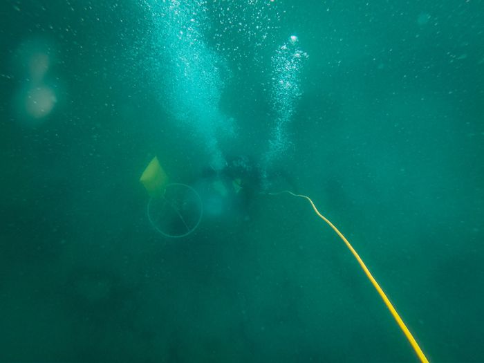 A diver explores underwater depths with bubbles rising in the turquoise ocean water.