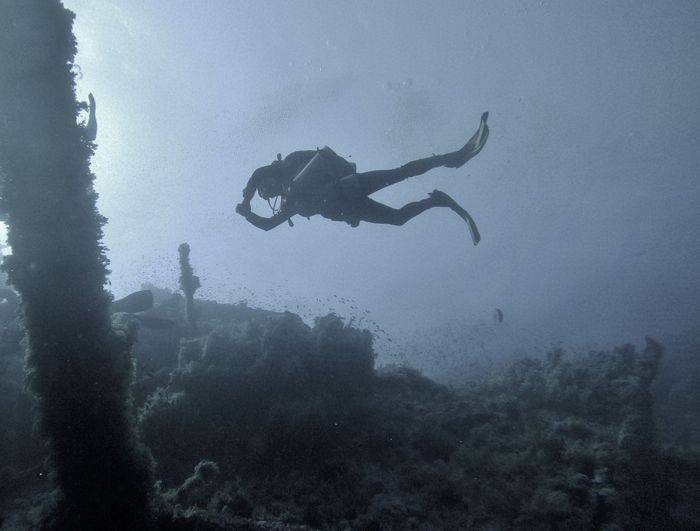 Scuba diver exploring submerged structures in the ocean, surrounded by marine life.