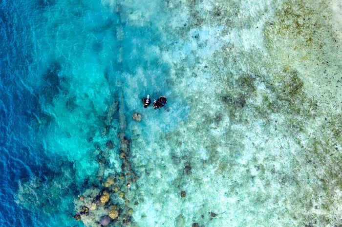 Breathtaking aerial shot of scuba divers exploring vibrant marine life in Jakarta, Indonesia.