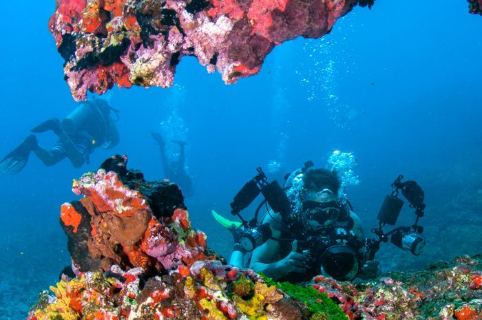 Colorful underwater scene with divers exploring vibrant coral reefs.