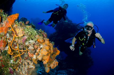 Harto's Reef Indonesia