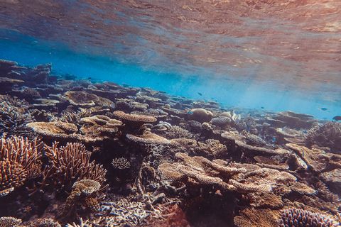 Yeben Shallows Indonesia