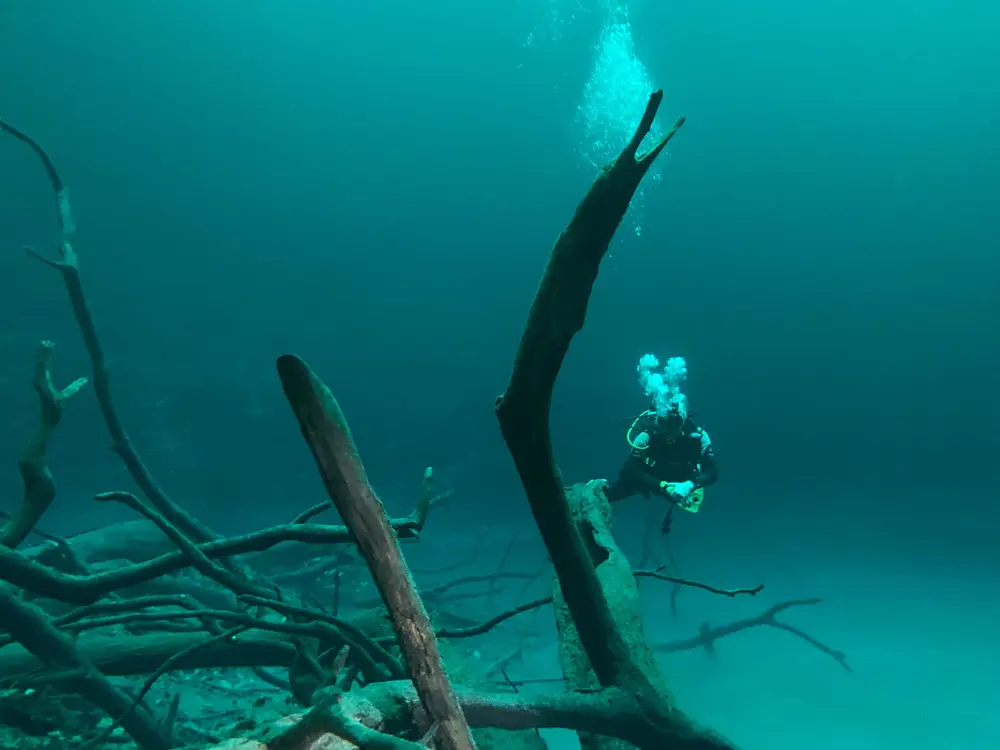 Cenote Dos Pisos
