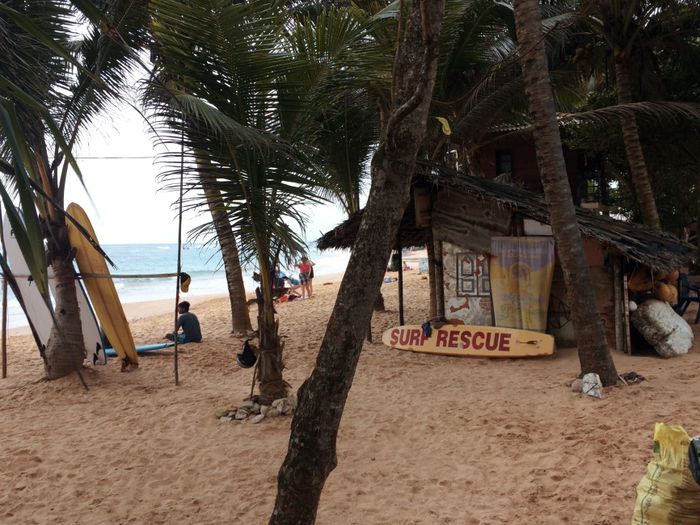 Explore a serene tropical beach with palm trees and a surf rescue hut in Sri Lanka.