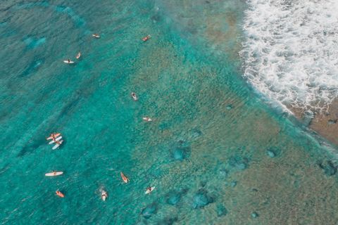 Nelscott Reef United States