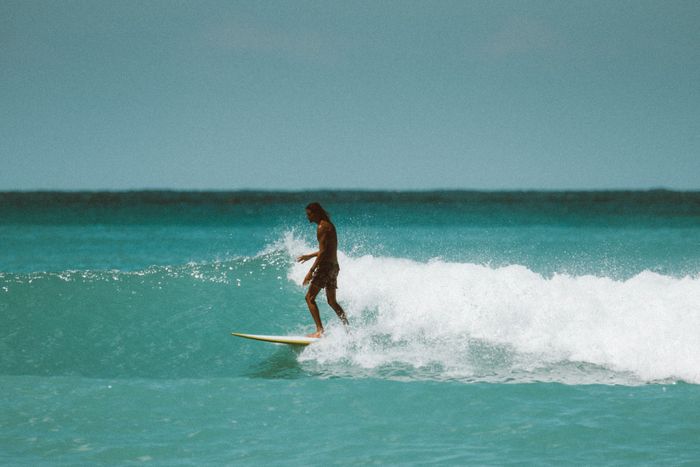 A surfer skillfully rides a wave in Hawaii's clear blue waters, capturing surf culture.