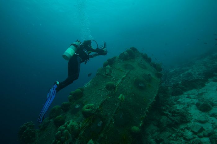 A scuba diver explores an underwater wreck teeming with marine life in the Caribbean Sea.