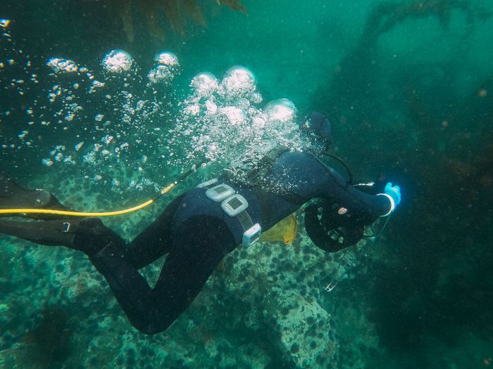 A diver swims through an underwater coral reef, surrounded by bubbles and marine life.