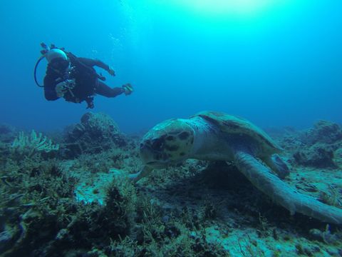 Dry Tortugas National Park United States
