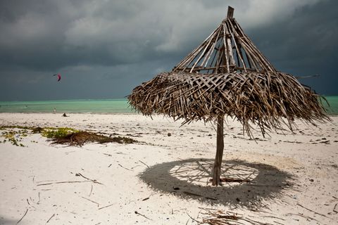 Pilipili Uhuru Kite Zanzibar Tanzania
