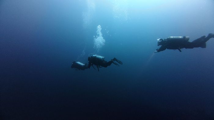 Scuba divers exploring the depths of the Red Sea, capturing the tranquility and mystery of the underwater world.