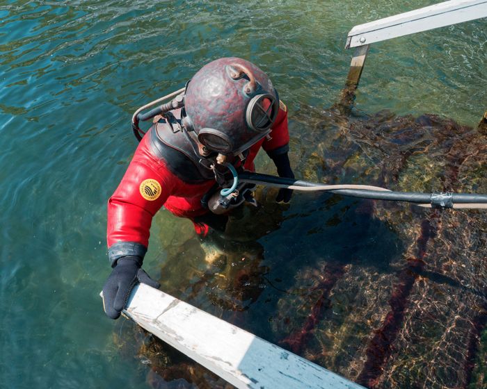 A diver in a red standard diving dress emerges from the sea, using a ladder.
