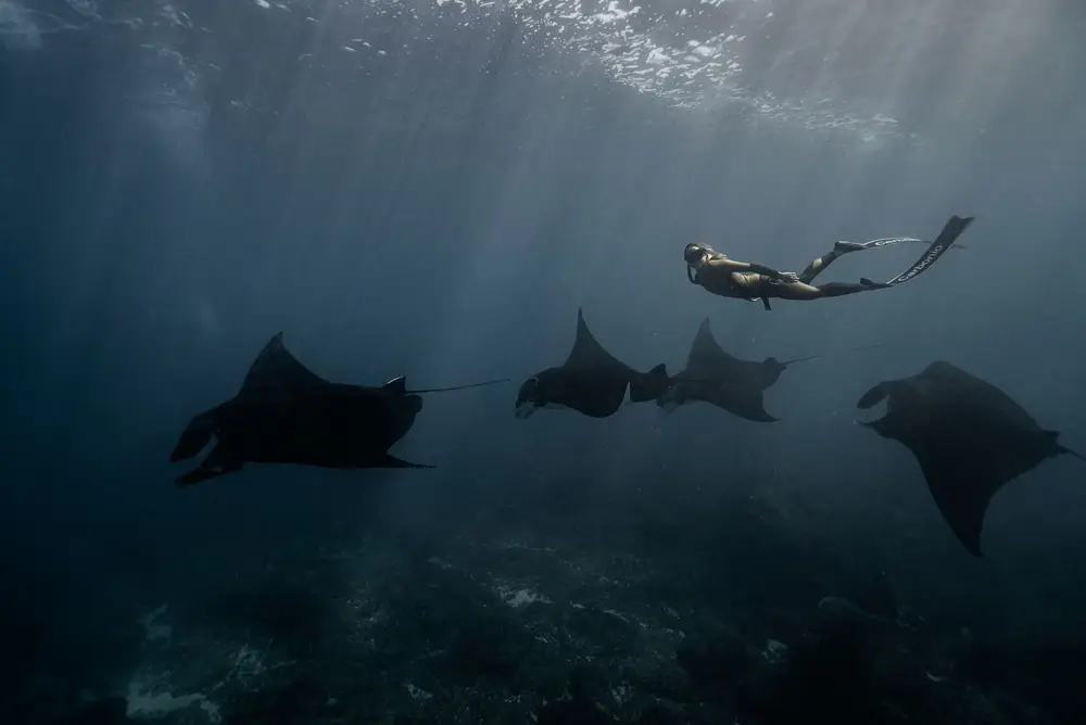 Nusa Penida — Manta Point