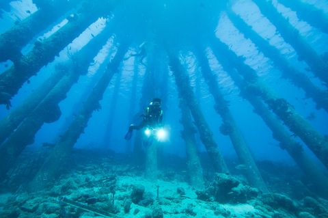 Bonaire — Salt Pier Bonaire