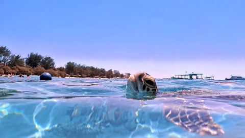 Gili Mimpang Indonesia