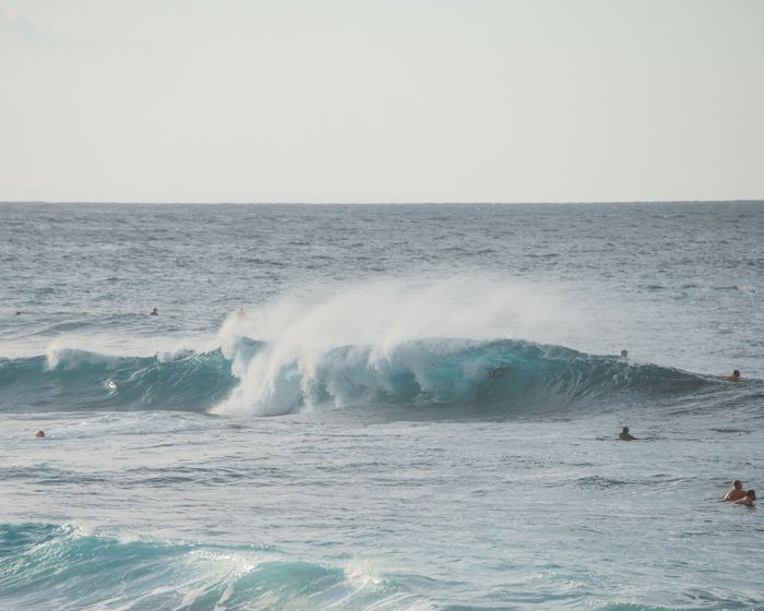 Capture of surfers amidst ocean waves on a sunny Hawaiian beach.