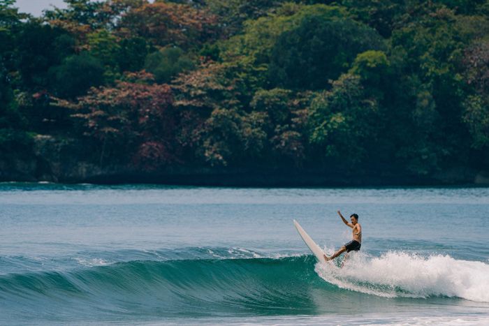 A surfer rides a wave in West Java, Indonesia, surrounded by lush greenery.