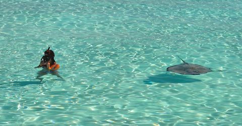 Stingray City (Grand Cayman) Cayman Islands