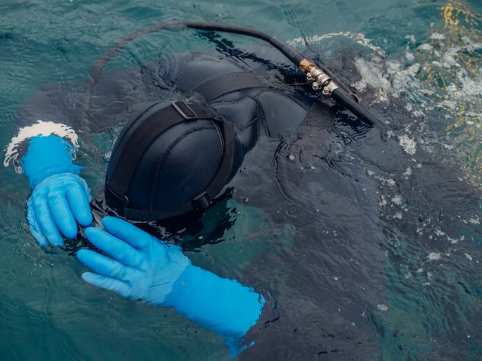 Close-up of a scuba diver in a black wetsuit and blue gloves adjusting equipment underwater.