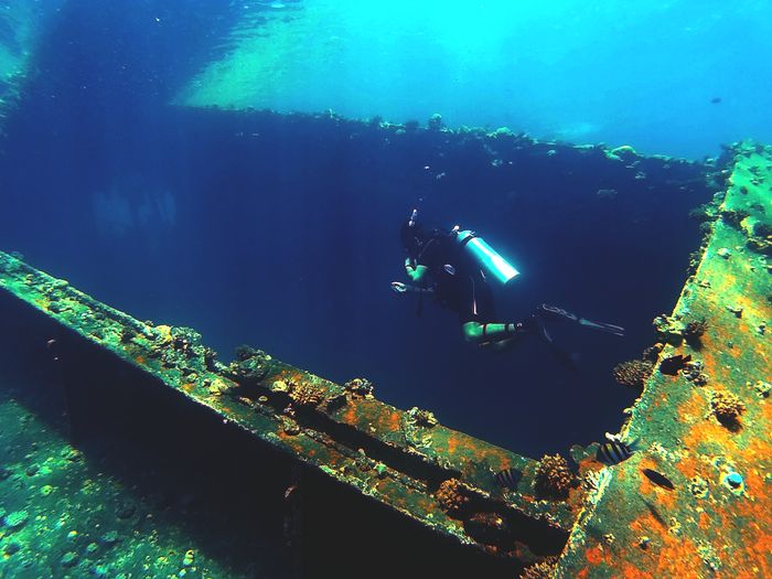 Diver exploring a vibrant underwater shipwreck in clear blue Arabian waters.