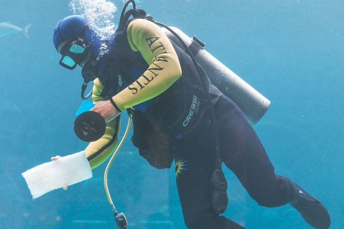 A scuba diver cleans the Atlantis aquarium exhibit with specialized equipment underwater.