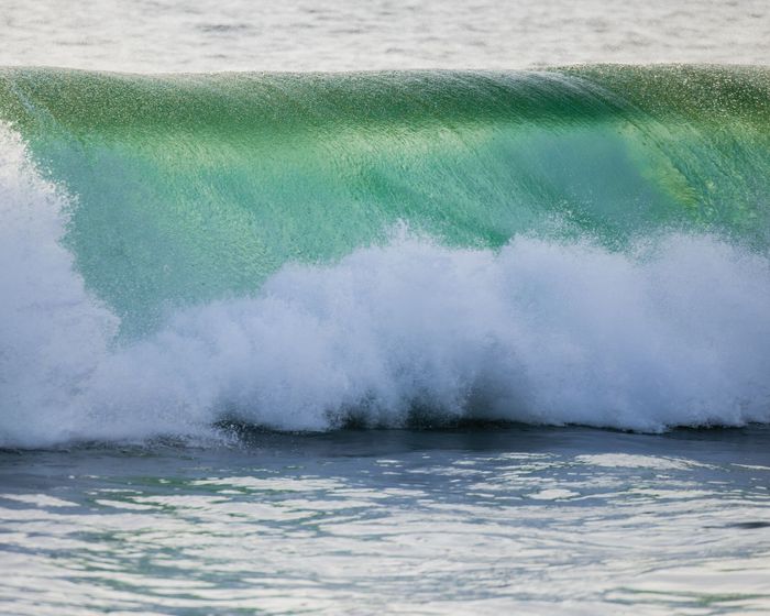 A stunning close-up of a vibrant green ocean wave crashing on the shore of Casa Cyrene, Mexico.